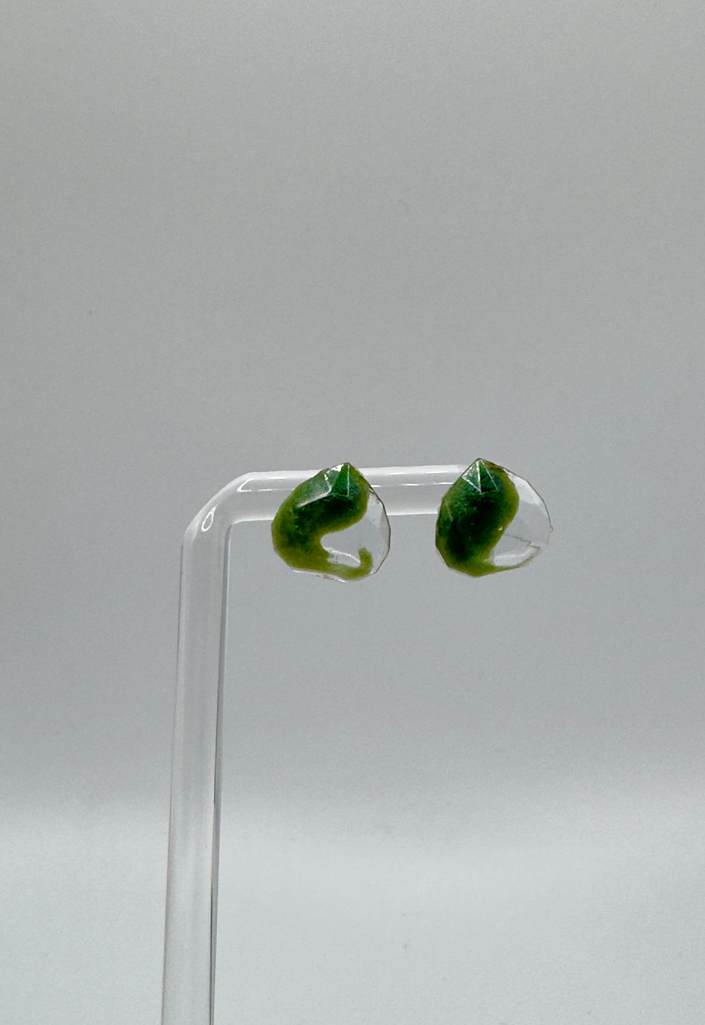Enchanted Heart Stud Earrings
